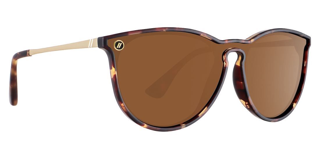 Blenders North Park X2 Sunglasses